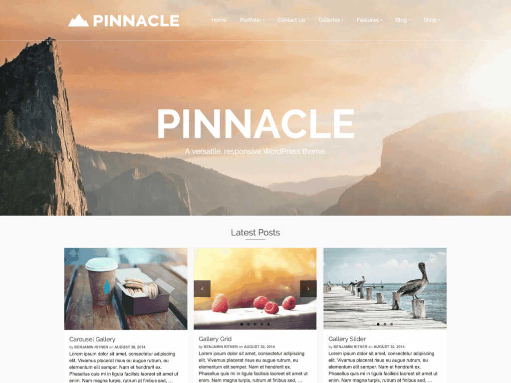 pinnacle screenshot