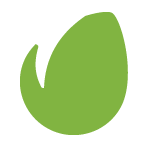 envato